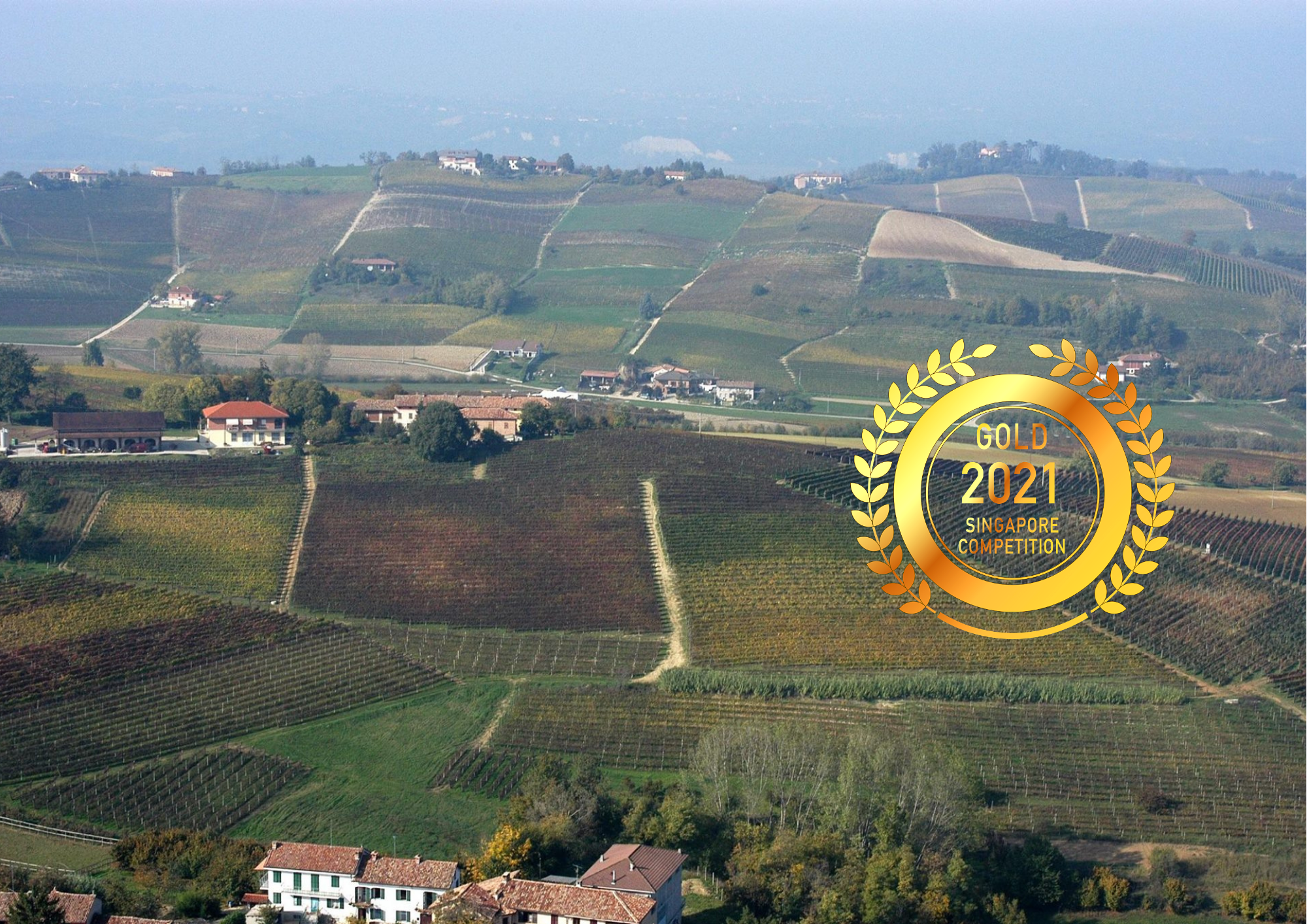 AZIENDA Agricola Stella Giuseppe : Three generations of producing good wines by Singapore Newspaper