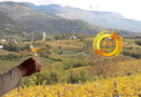 Società Agricola DRAGA di Miklus Mitja & C. s.s. : Passion in Winemaking, Produce Excellence Wines