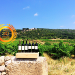 Domaine de l’Aiguelière : Wines Famous for Outstanding Quality