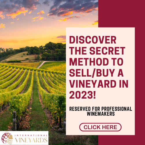 Discover the secret method to buy or sell a vineyard in 2023