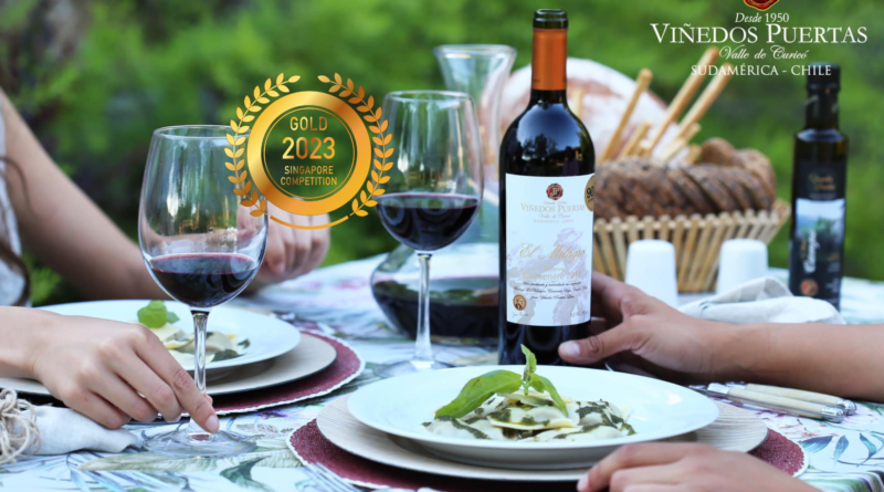 Discover the Essence of Chilean Wine: Viñedos Puertas LTDA's Exquisite Collection